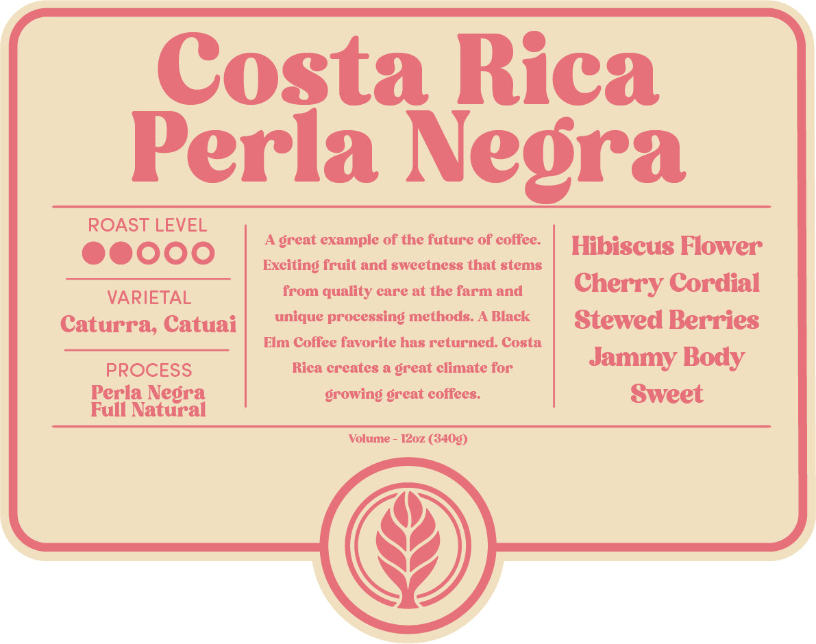 Coffee - Costa Rica Las Lajas - Black Elm Coffee