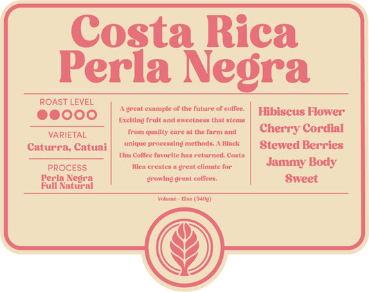 Coffee - Costa Rica Las Lajas - Black Elm Coffee