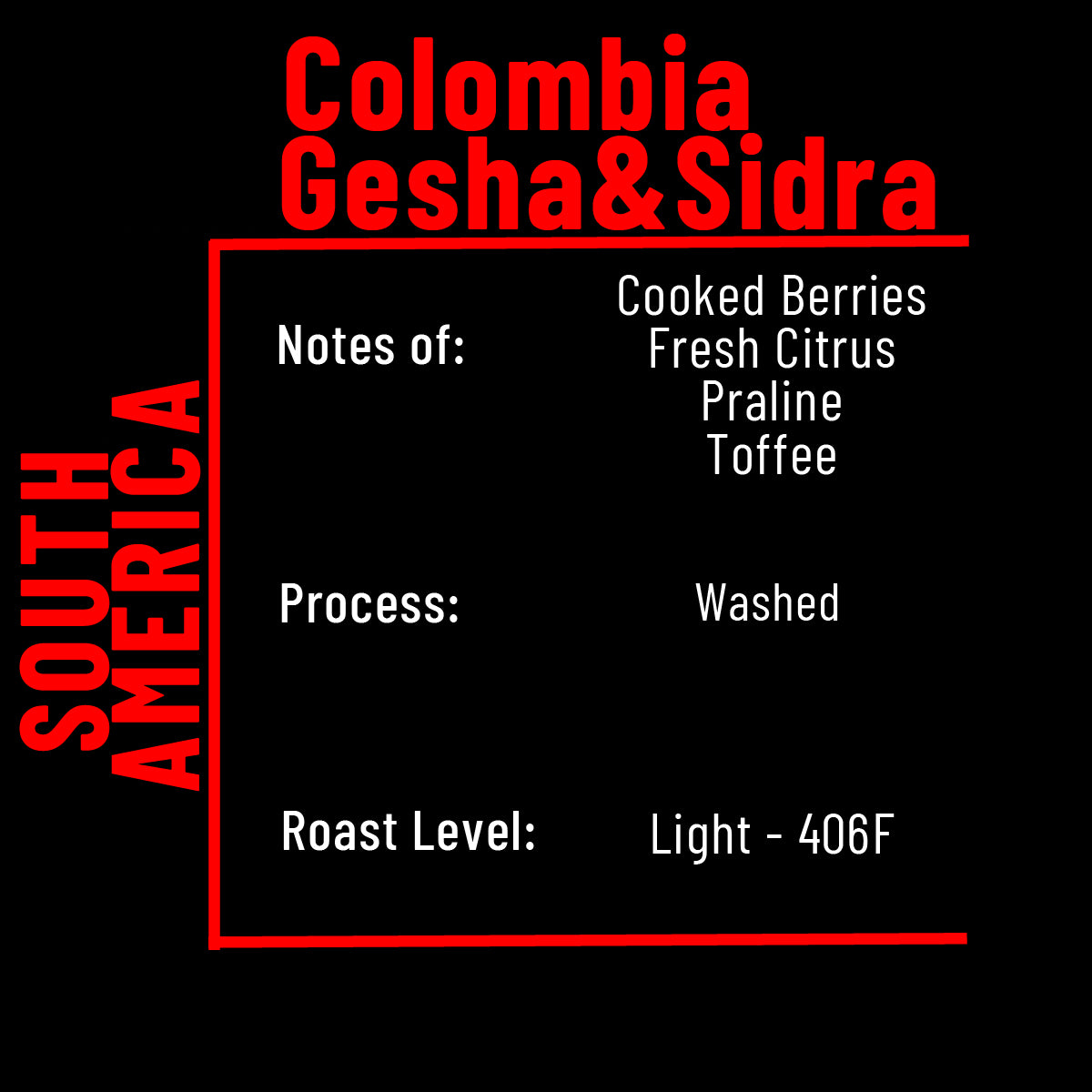 Coffee - Colombia Gesha & Sidra